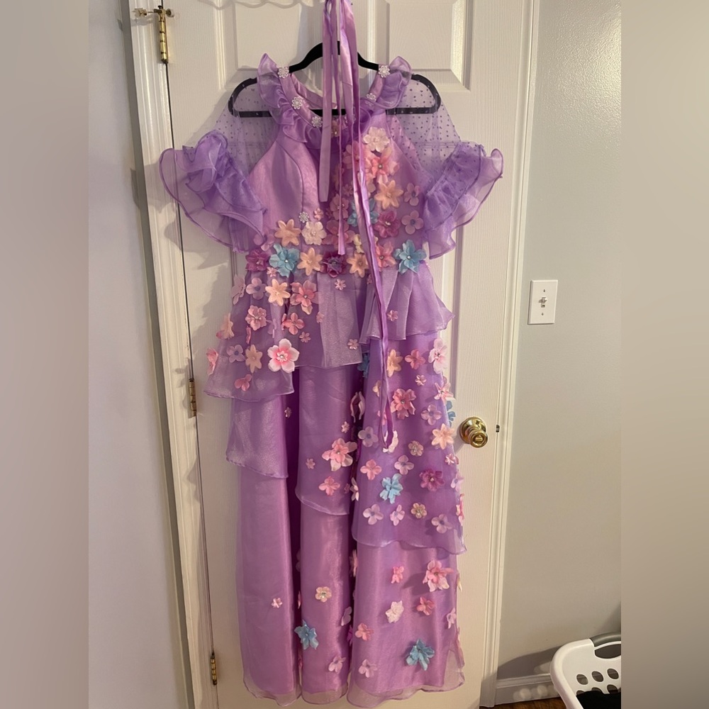 Custom made encanto Isabella dress